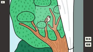 Bird Sense