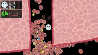 Leukocyte