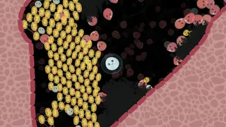 Leukocyte