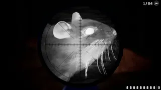 Vermin Protocol