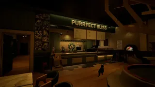 Purrfect Bliss