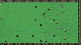 Sheepscape