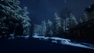 Lost Below