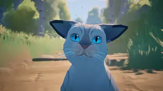 Скриншот 7 к игре Cat a Photo