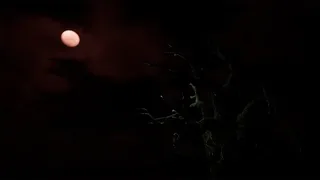 Скриншот 5 к игре The Death... And After?