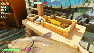 Water You Doing?