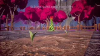 Doom & Bloom