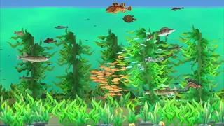 Fishtographers