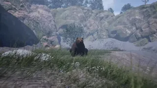 Wojtek: A Soldier Without a Uniform