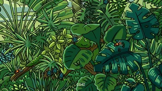 Curious Paws: hidden objects