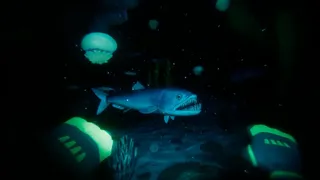 Paleo Dive