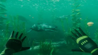 Paleo Dive