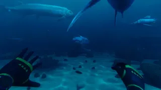 Скриншот 7 к игре Paleo Dive