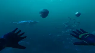 Скриншот 8 к игре Paleo Dive