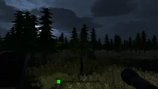Echo's of the Dark Part 2 Escaping From Asylum