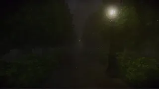 HER VOICE BEHIND