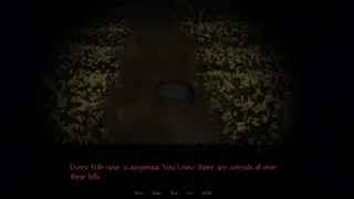 Whistling at Night