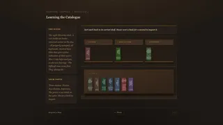 The Night Librarian