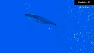 Fish Simulator