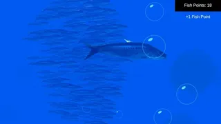 Fish Simulator