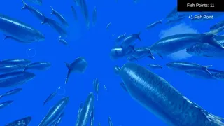 Fish Simulator