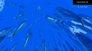 Скриншот 5 к игре Fish Simulator