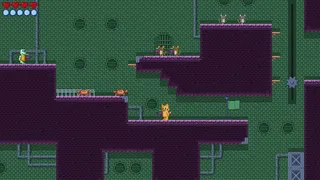 Water Gun Cat