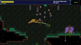 Rescue Hornet