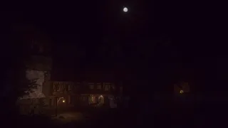 Vigilum