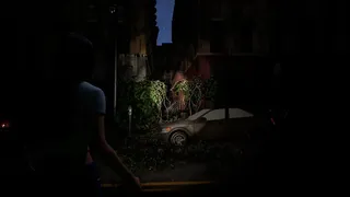 Jean's Survival