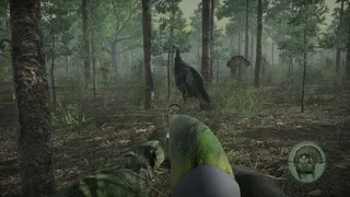 Pro Tukey Hunting