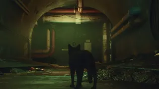 DarkRay