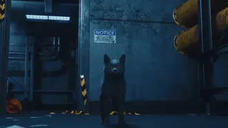 DarkRay