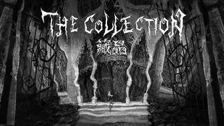 The Collection藏品