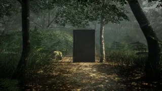 Obey the Rules: Forest