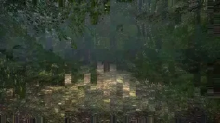 Obey the Rules: Forest