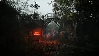LETHAL SIGNAL