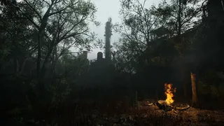 LETHAL SIGNAL