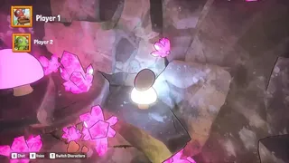 Carry The Egg