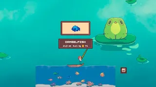 Pocket Pond
