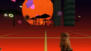 memu is space cat