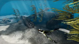 Скриншот 6 к игре Life in the Crater Lake