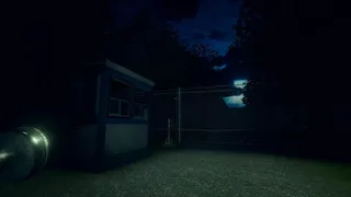 A Voice In The Dark