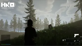 HKO: Advanced Survival