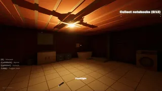 The Hollow House