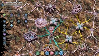Mycelium Conquest: Mitosis
