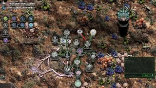 Mycelium Conquest: Mitosis