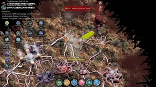 Mycelium Conquest: Mitosis