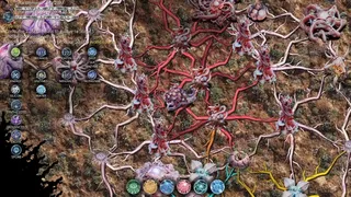 Mycelium Conquest: Mitosis