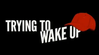 Скриншот 8 к игре Trying to Wake Up